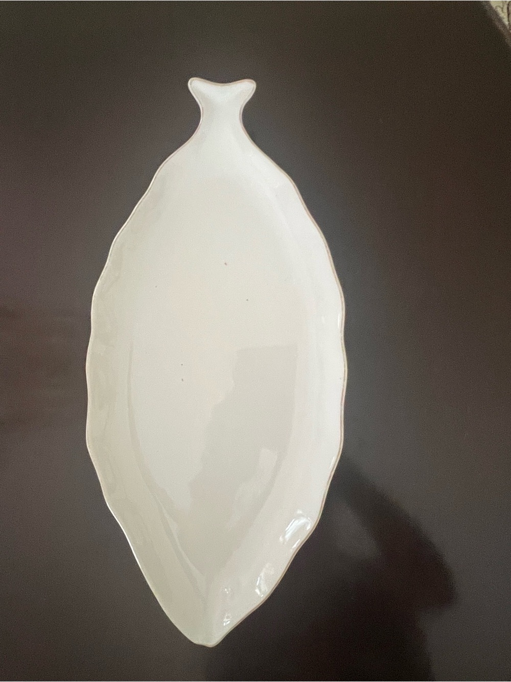 Tag White Ceramic fish Serving Platter